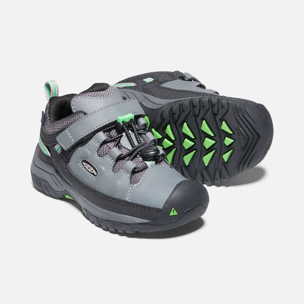 Keen Wandelschoenen Kinderen Grijs/Groen - Targhee Waterproof - 46813-XZQC